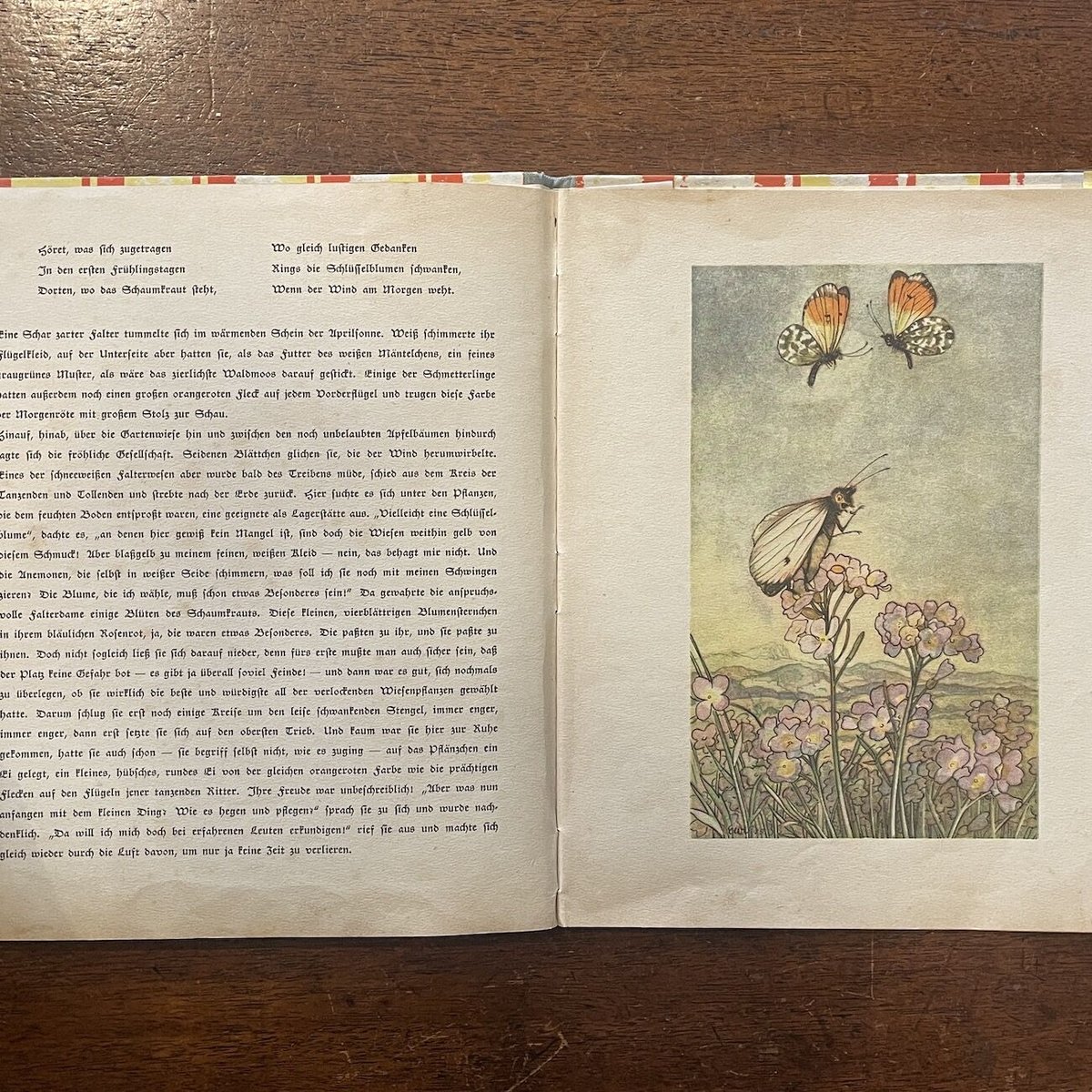 【難あり】1900年代初期　希少なドイツの絵本 pauli ebner 洋書 難あり】1900年代初期 希少なドイツの絵本 pauli ebner 洋書 難