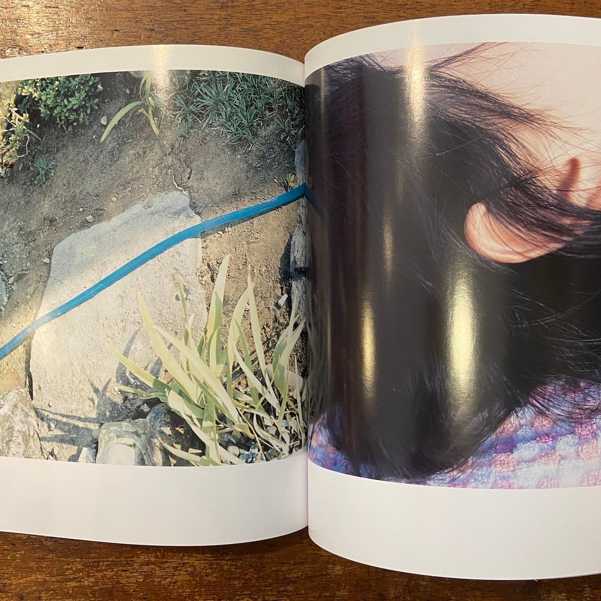 Blue」川内倫子 | Frobergue online store