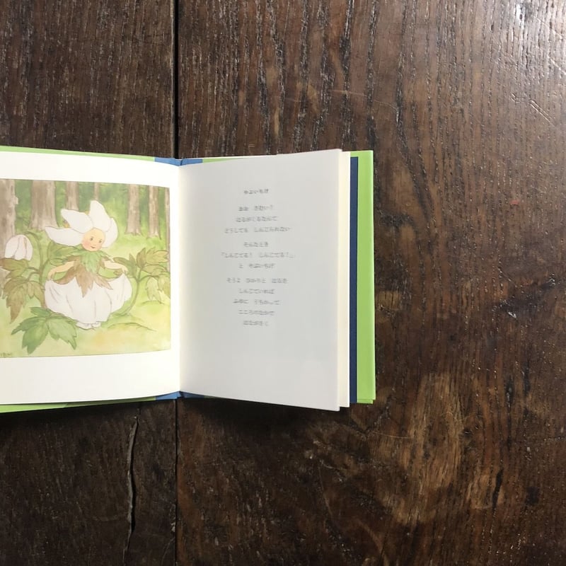 はなのこどもたち／イーダ・ボハッタ はなのこどもたち (イーダ・ボハッタの絵本) | イーダ ボハッタ