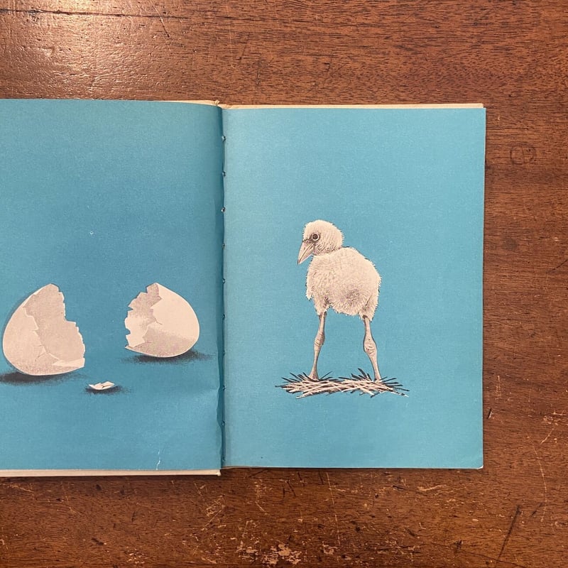 つよっぷ6点　ヴィンテージ 洋書 鳥 バード 紙物 ジャンクジャーナル つよっぷ6点 ヴィンテージ 洋書 鳥 バード 紙物 ジャンク