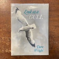 「Look at a GULL」Dare Wright