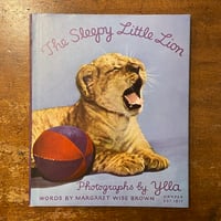 「The Sleepy Little Lion」Margaret Wise Brown　Ylla（イーラ）