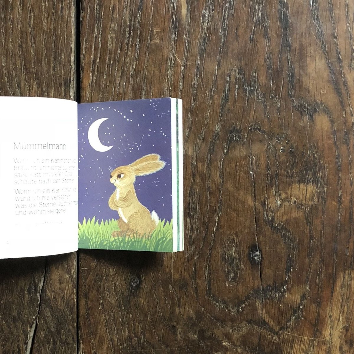 Kleines Hasenbuch」Lilo Fromm（リロ・フロム） | Froberg