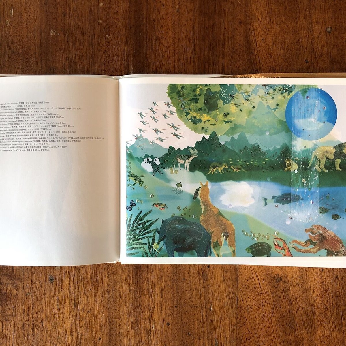 もうひとつの場所」清川あさみ | Frobergue online store