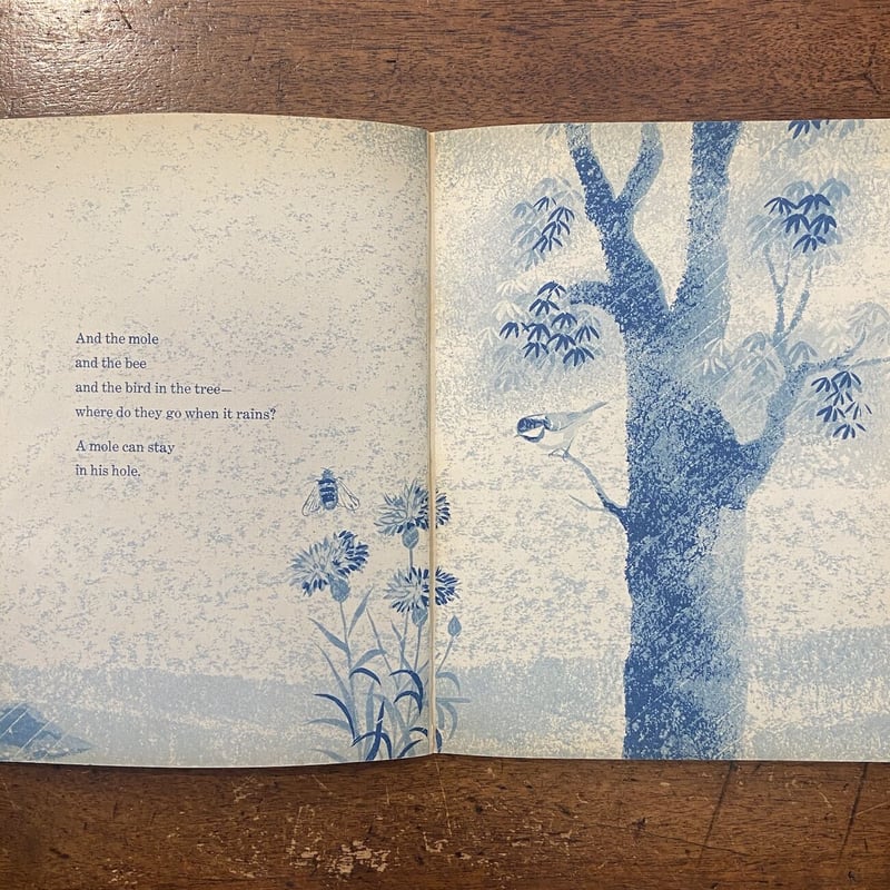 Where dose the butterfly go when it rains」May