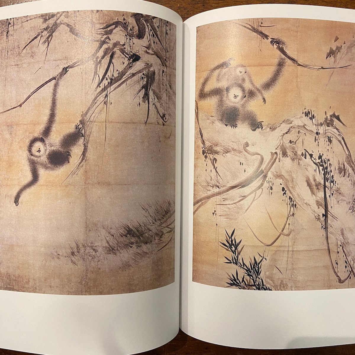 洋書希少）Archive Fever（展覧会図録）、2008年。 洋書希少）Archive