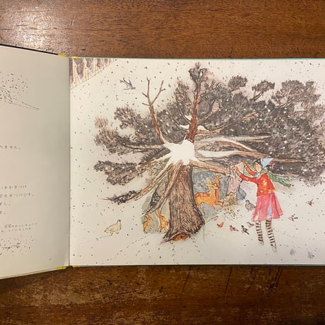 「大雪」ゼリーナ・ヘンツ 文　アロイス・カリジェ 絵　生野幸吉 訳