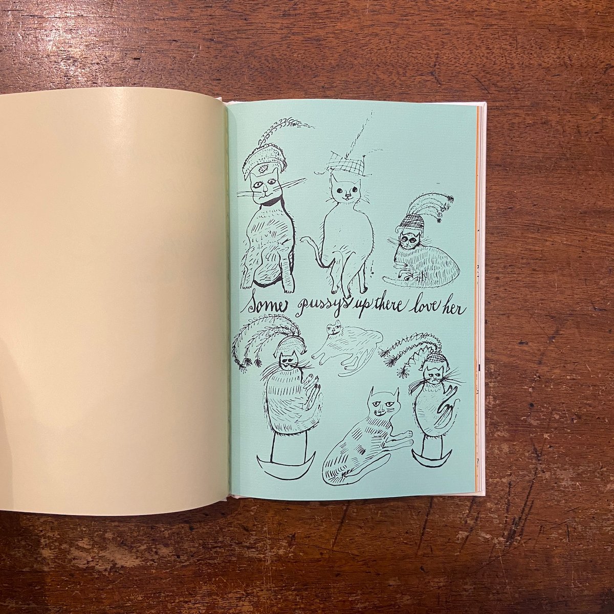 Holy Cats by Andy Warhol's Mother／25 Cats Name