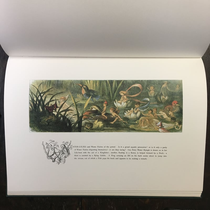 レア♡フェアリーアーティスト妖精を描くための洋書♡リンダ