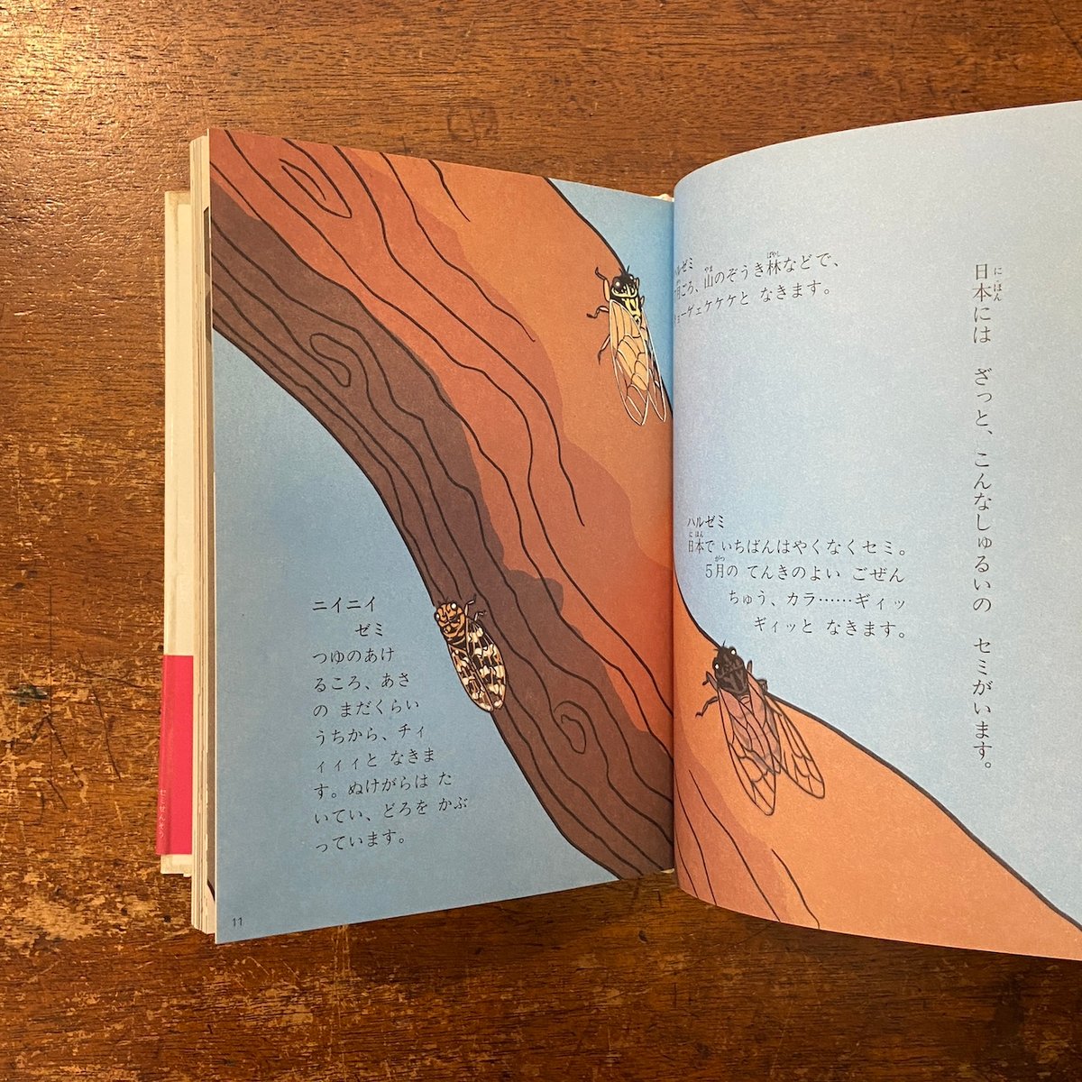 セミせんそう ぽっぺん先生のどうぶつ日記5」舟崎克彦 | Frobergue