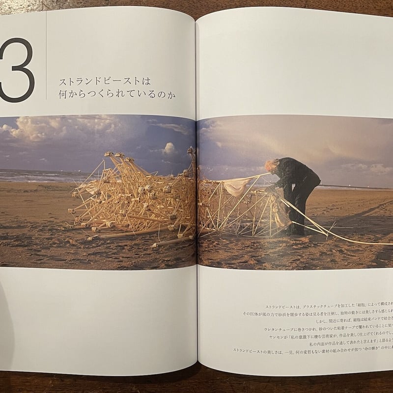 テオ・ヤンセンとストランドビースト 新訂版 テオ・ヤンセンとストランドビースト 新訂版