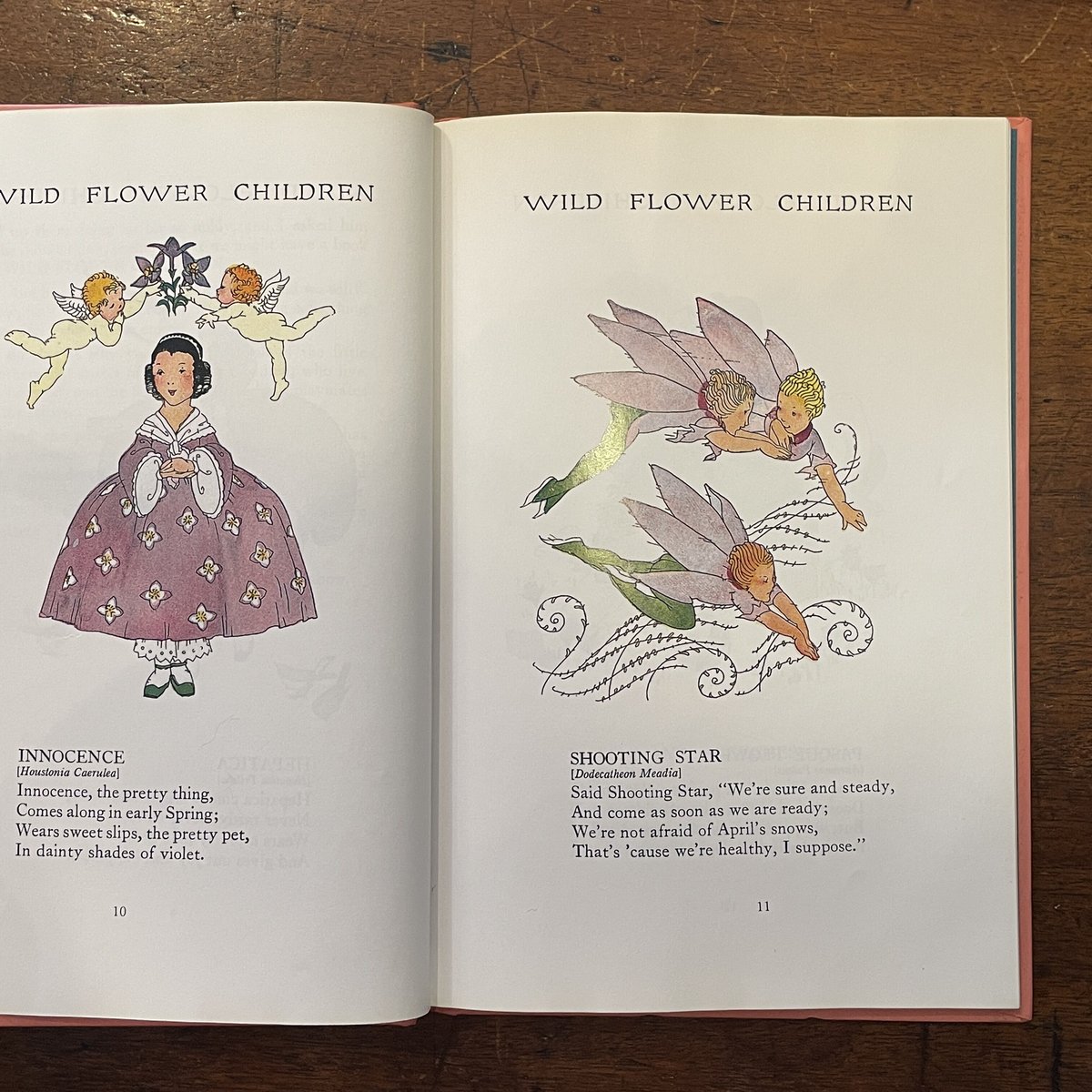 FLOWERS Memoire eternelle 公式図録 モノローグ台本 FLOWERS Memoire