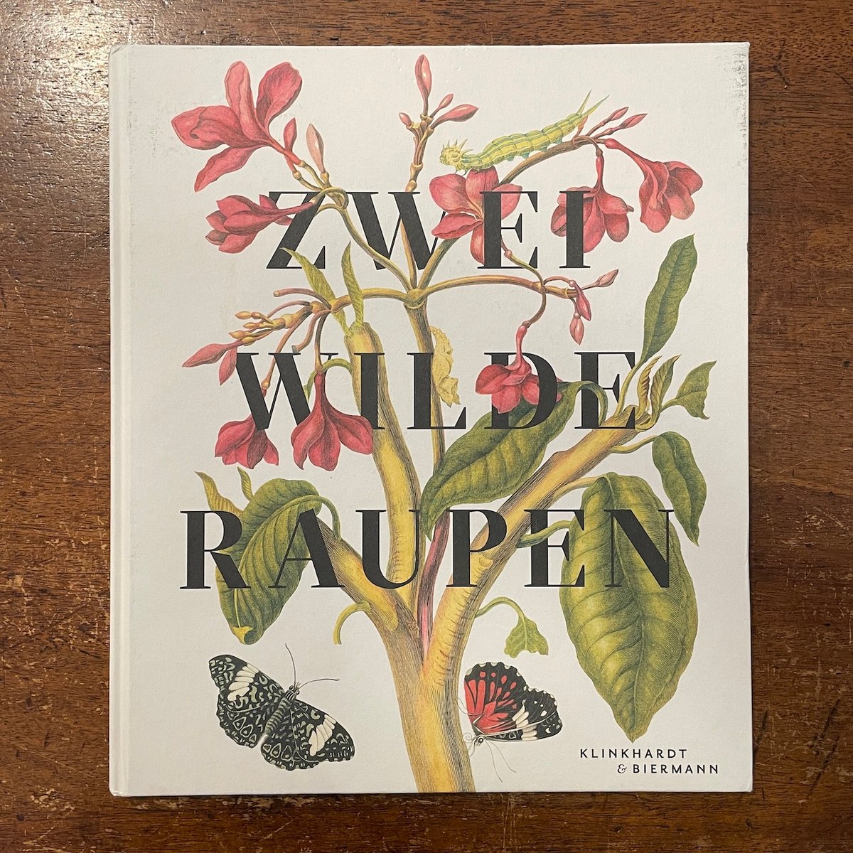ZWEI WILDE RAUPEN：Maria Sibylla Merian」Vera Sc