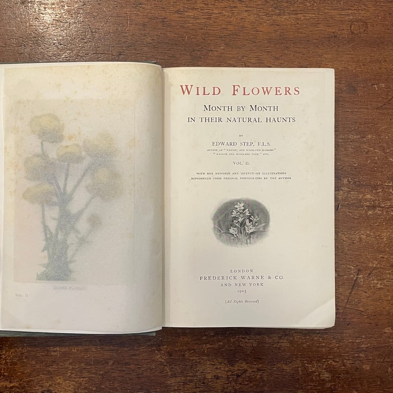 Wild Flowers Month by Month in their natural h