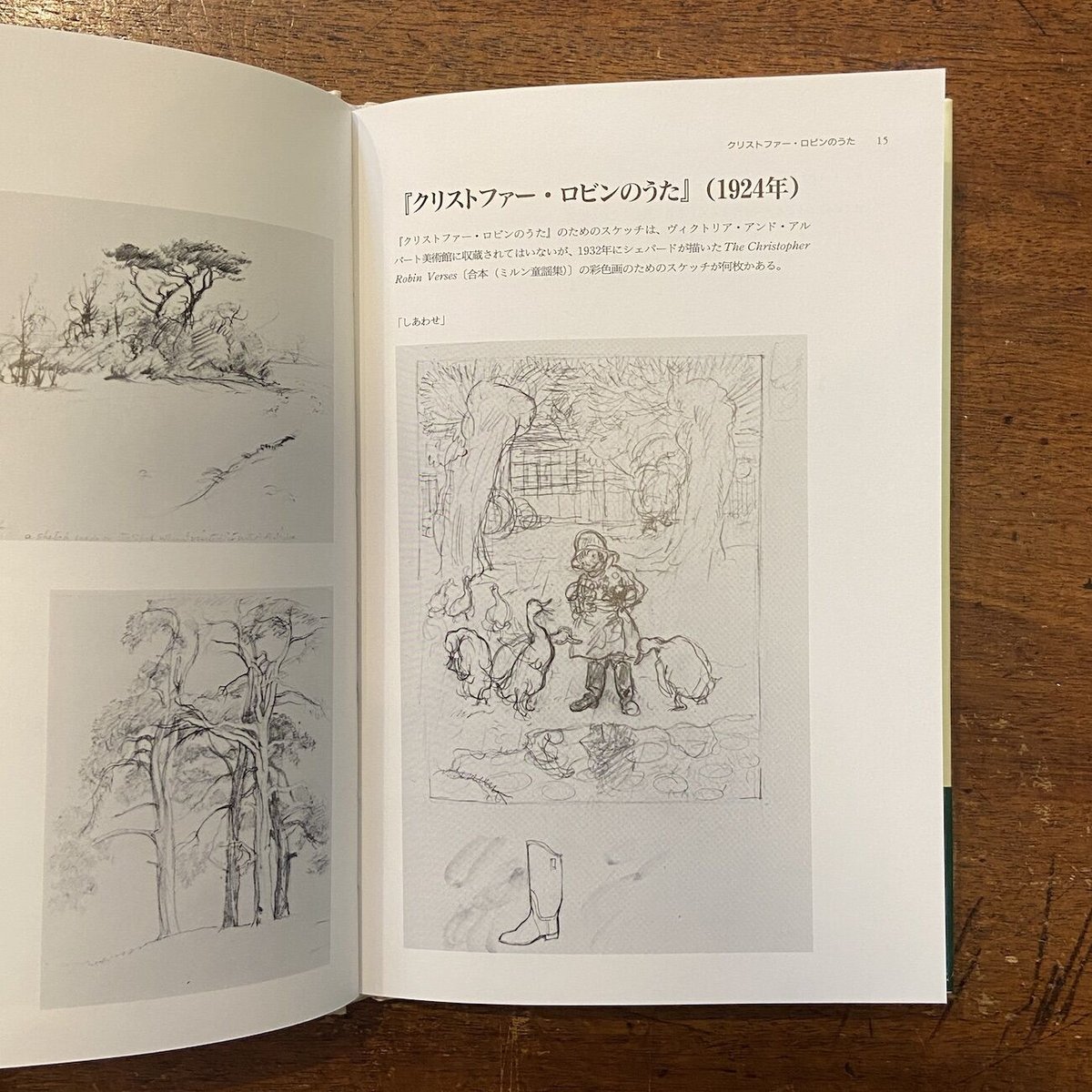 fit=scale-down,w=1200