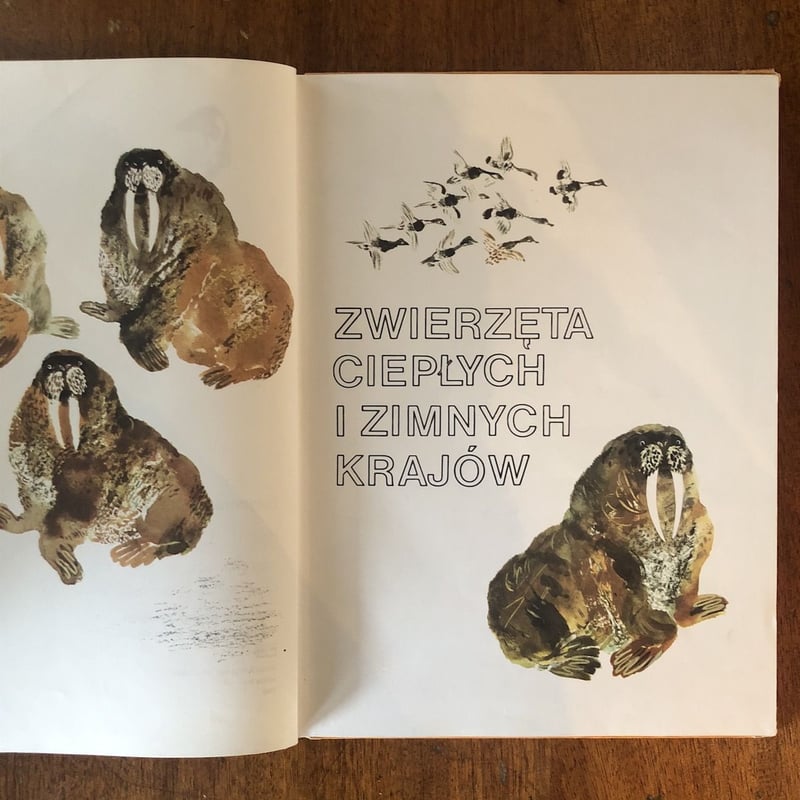 MOJA PIERWSZA ZOOLOZIA」Eugeniusz Czaruszyn（エヴゲ