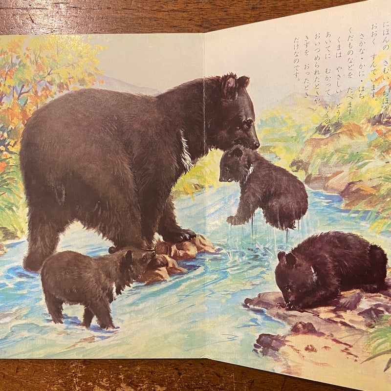 絵画。原画【本を読むのが好きな熊ちゃんと小鳥】 せかいのどうぶつ／トツパンのこども絵本28（1962年）」小田忠 村上