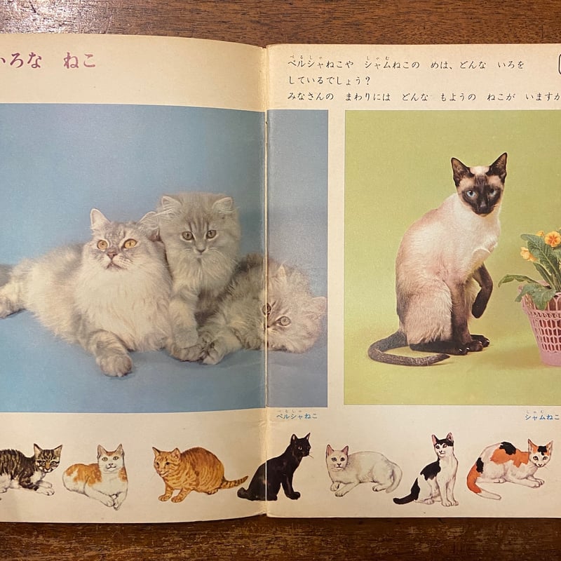 いぬとねこ つなぐ キンダーブック：科学 1973年4月号」北田卓史／清水
