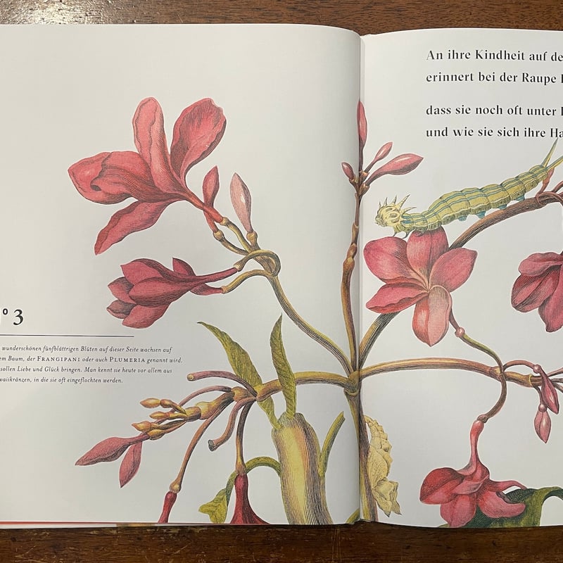 ZWEI WILDE RAUPEN：Maria Sibylla Merian」Vera Sc