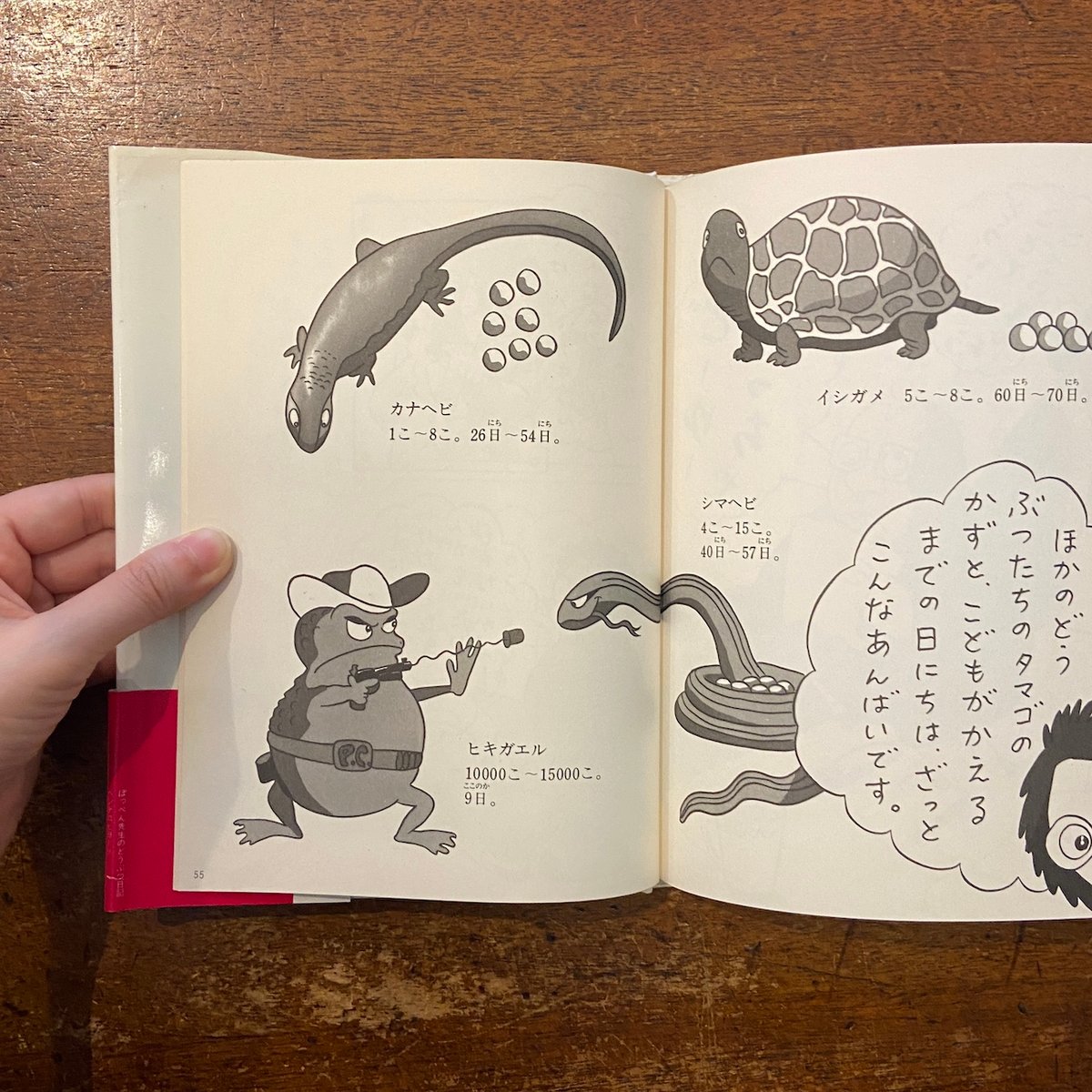 へんてこヒヨドリ ぽっぺん先生のどうぶつ日記 1」舟崎克彦 作 藤田
