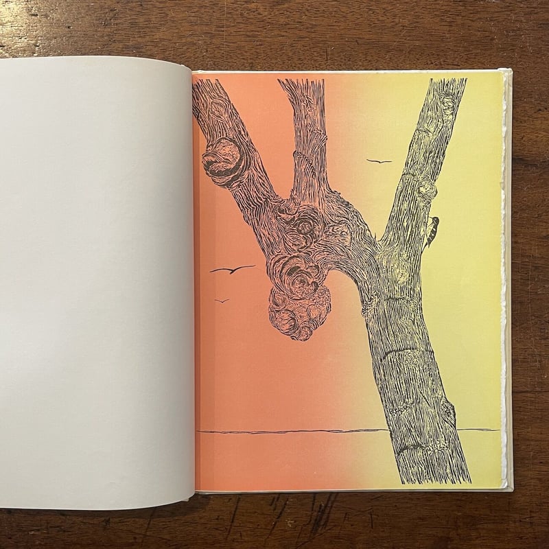 THE ENDURING COSMOS」Gwen Frostic | Frobergue