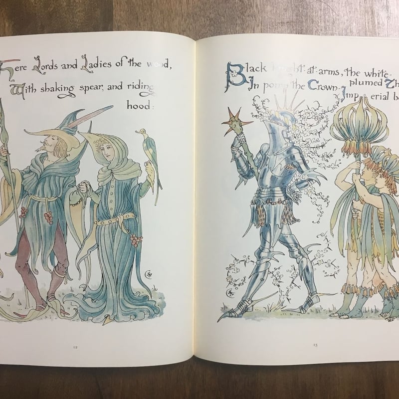 美品 ウォルター・クレイン「Flora's Feast 野バラ」リトグラフ 額装 美品 ウォルター・クレイン「Flora's Feast 野バラ」リトグラフ