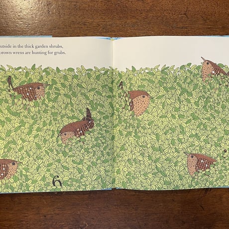 「Counting Birds」Alice Melvin