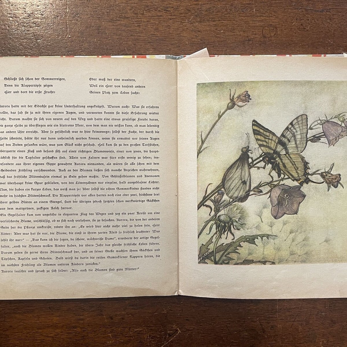 【難あり】1900年代初期　希少なドイツの絵本 pauli ebner 洋書 fit=scale-down,w=1200