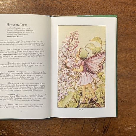 「The Flower Fairies Gardening Year」Cicely Mary Barker（シシリー・メアリー・バーカー）