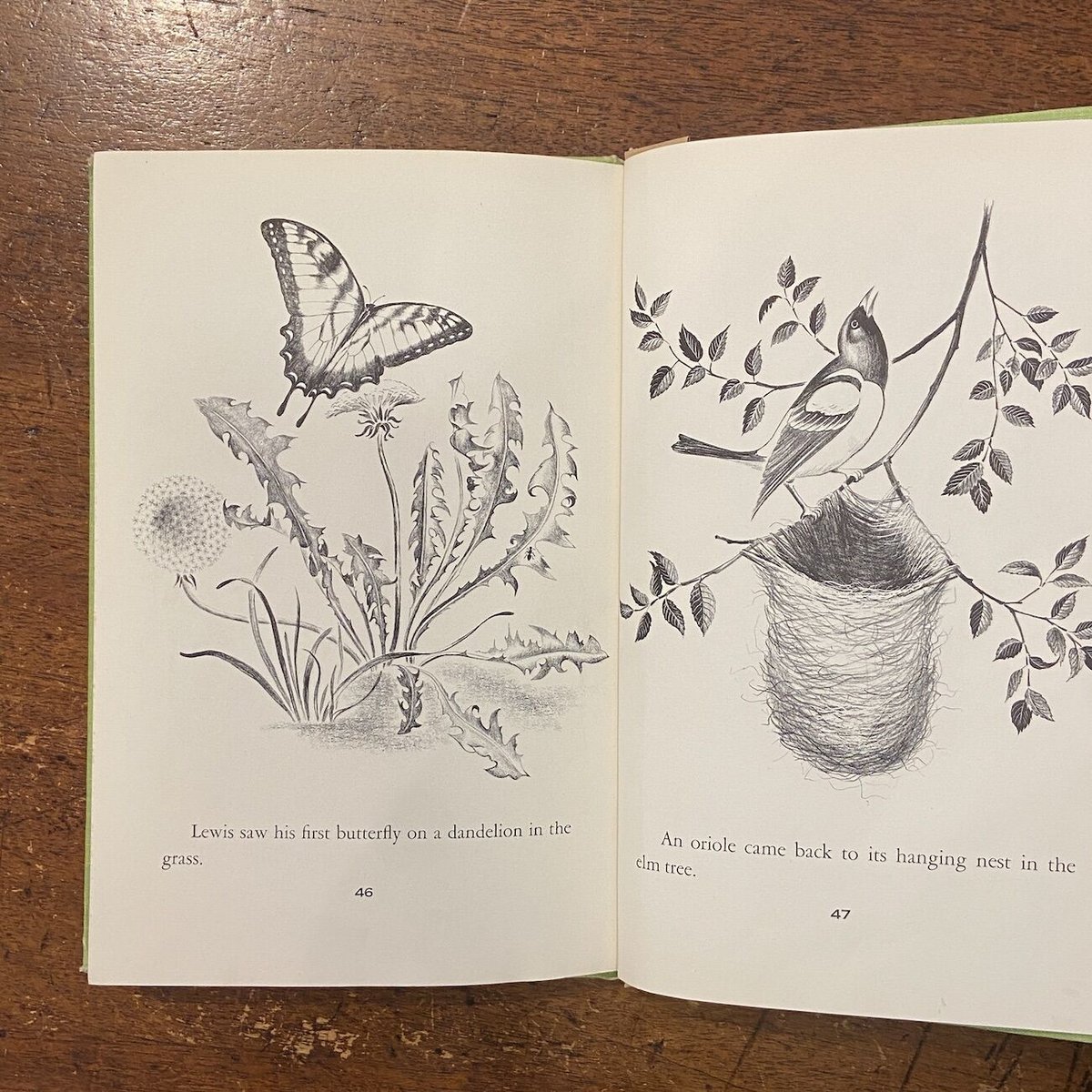 バーナード・キャサリンの静物画 バーナード・キャサリンの静物画