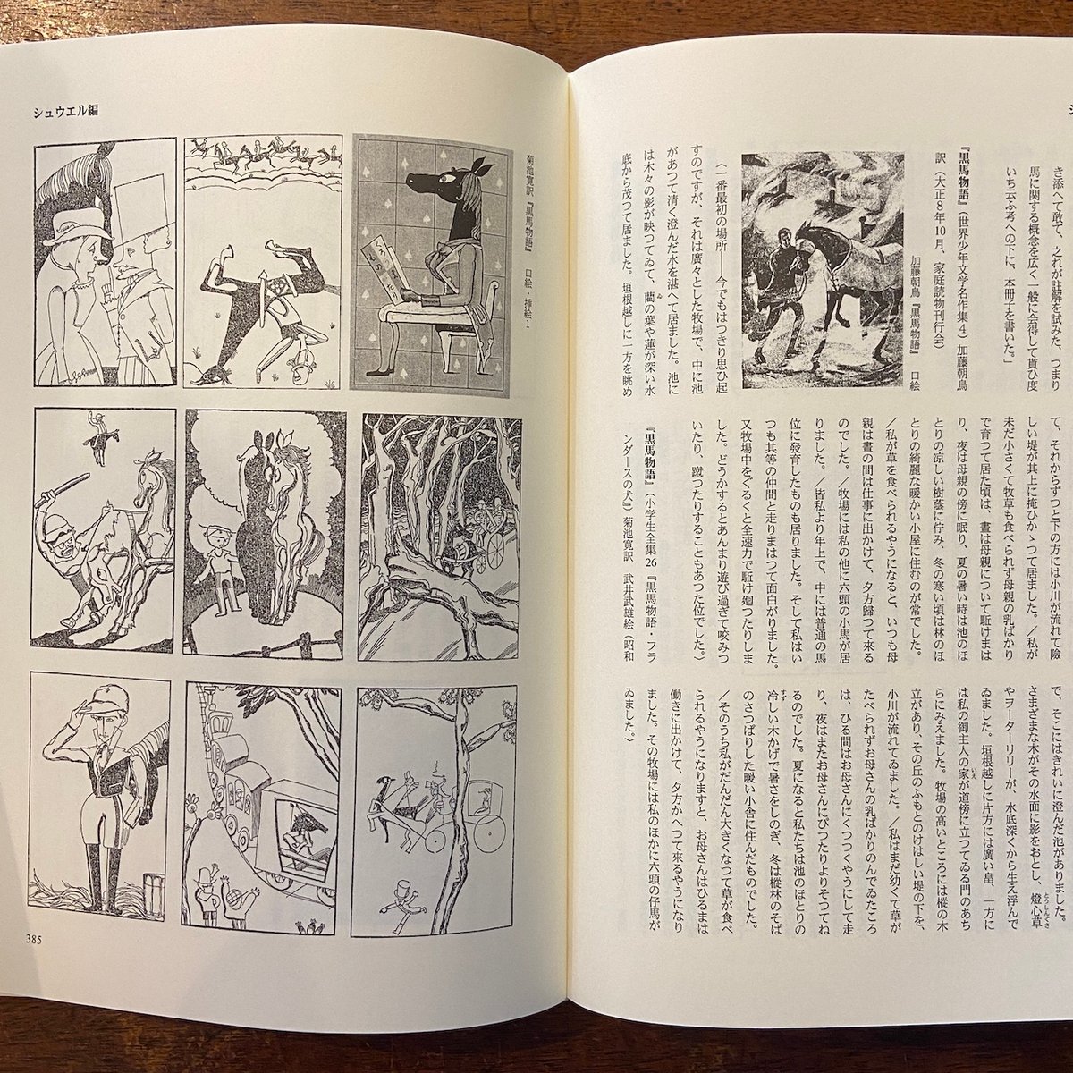 図説 子どもの本・翻訳の歩み事典 図説 子どもの本・翻訳の歩み事典