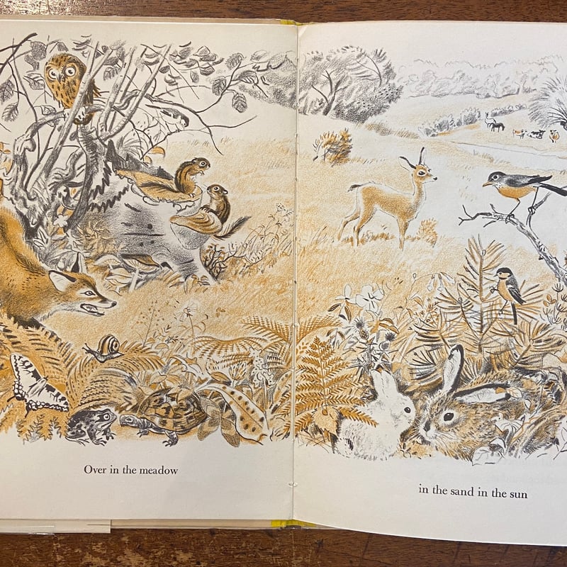 Over in the MEADOW（1964年2刷／リトグラフ）」John Langsta