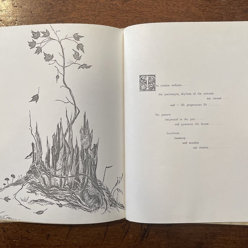 THE ENDURING COSMOS」Gwen Frostic | Frobergue