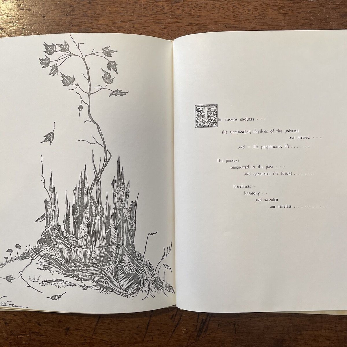 THE ENDURING COSMOS」Gwen Frostic | Frobergue