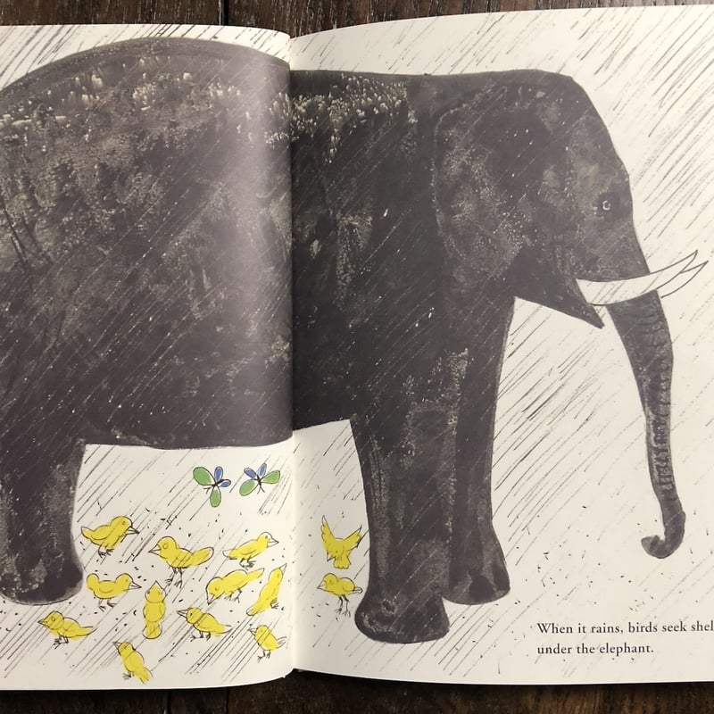 BRUNO MUNARI ブルーノムナーリ Bruno Munari′s Zoo | Book Ernest