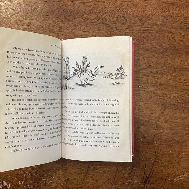 THE REAL THIEF」William Steig（ウィリアム・スタイグ） | Fro