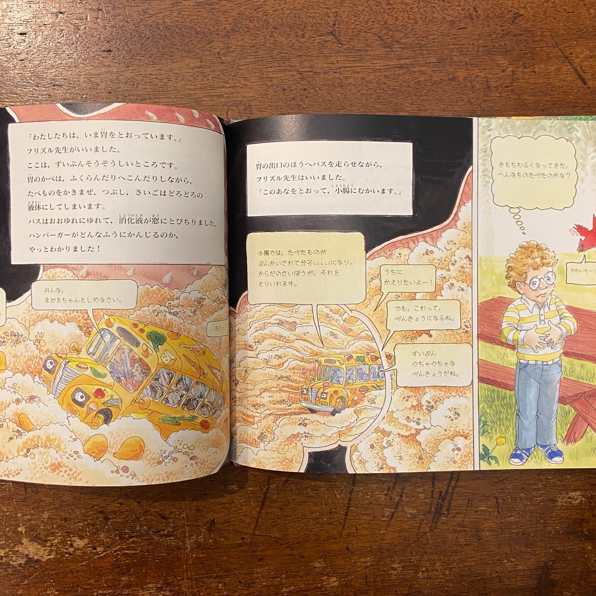 マジックスクールバス　からだたんけん　恐竜さがし 星めぐり　3冊セット　科学絵本 本 マジックスクールバス からだたんけん 恐竜さがし 星めぐり 3冊