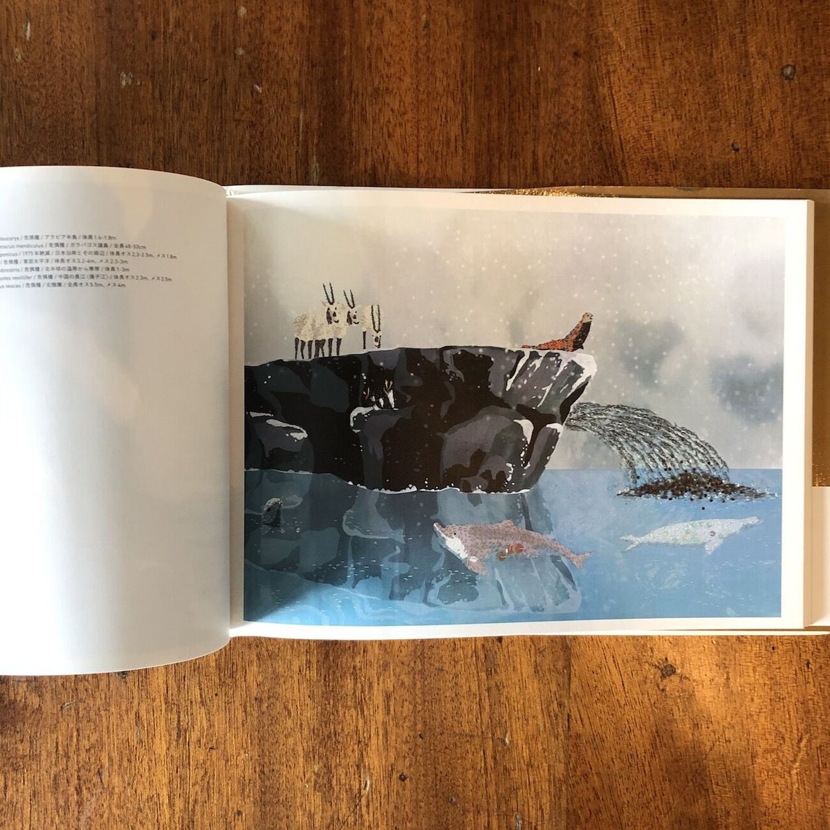 fit=scale-down,w=1200