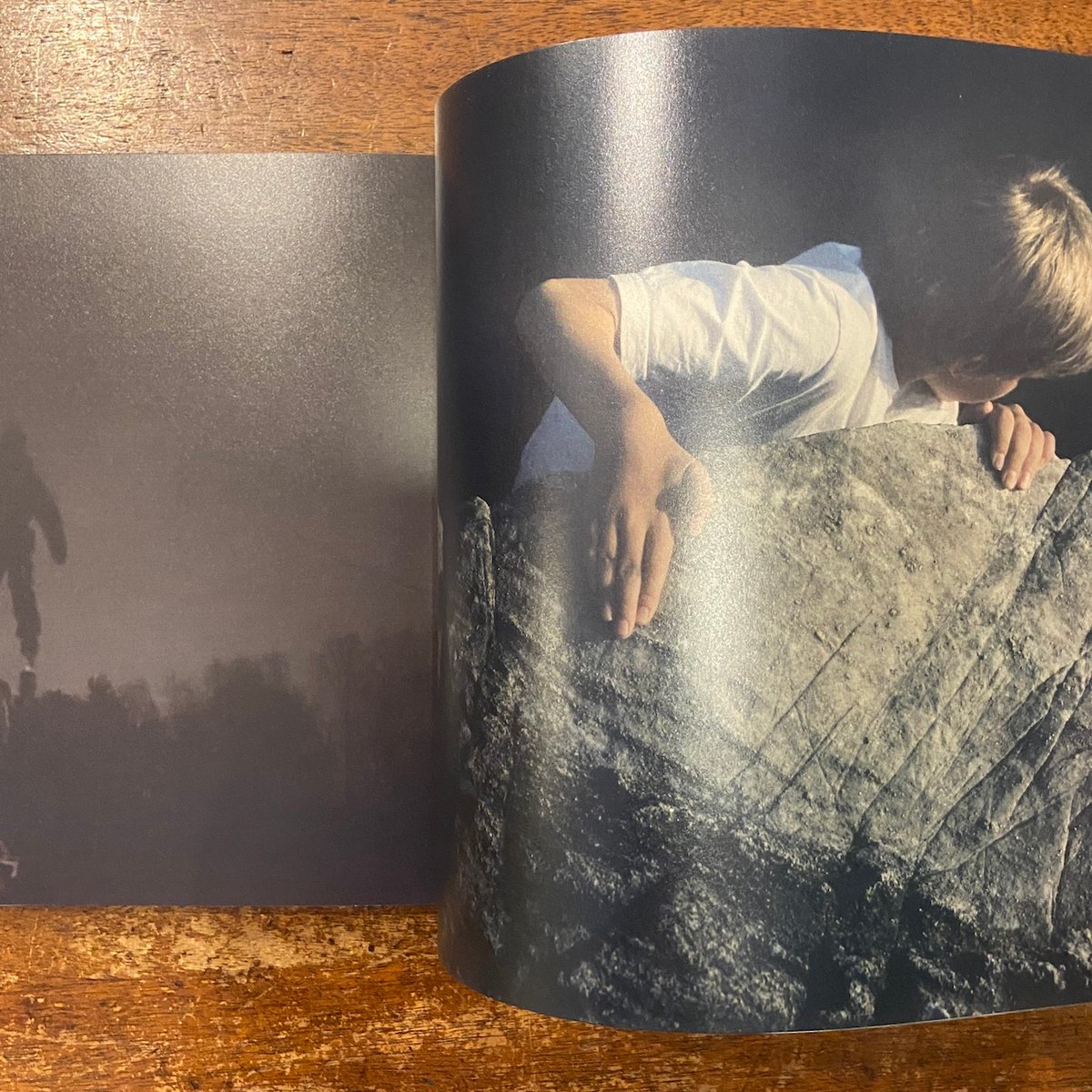 Far Too Close」Martina Hoogland Ivanow | Frober