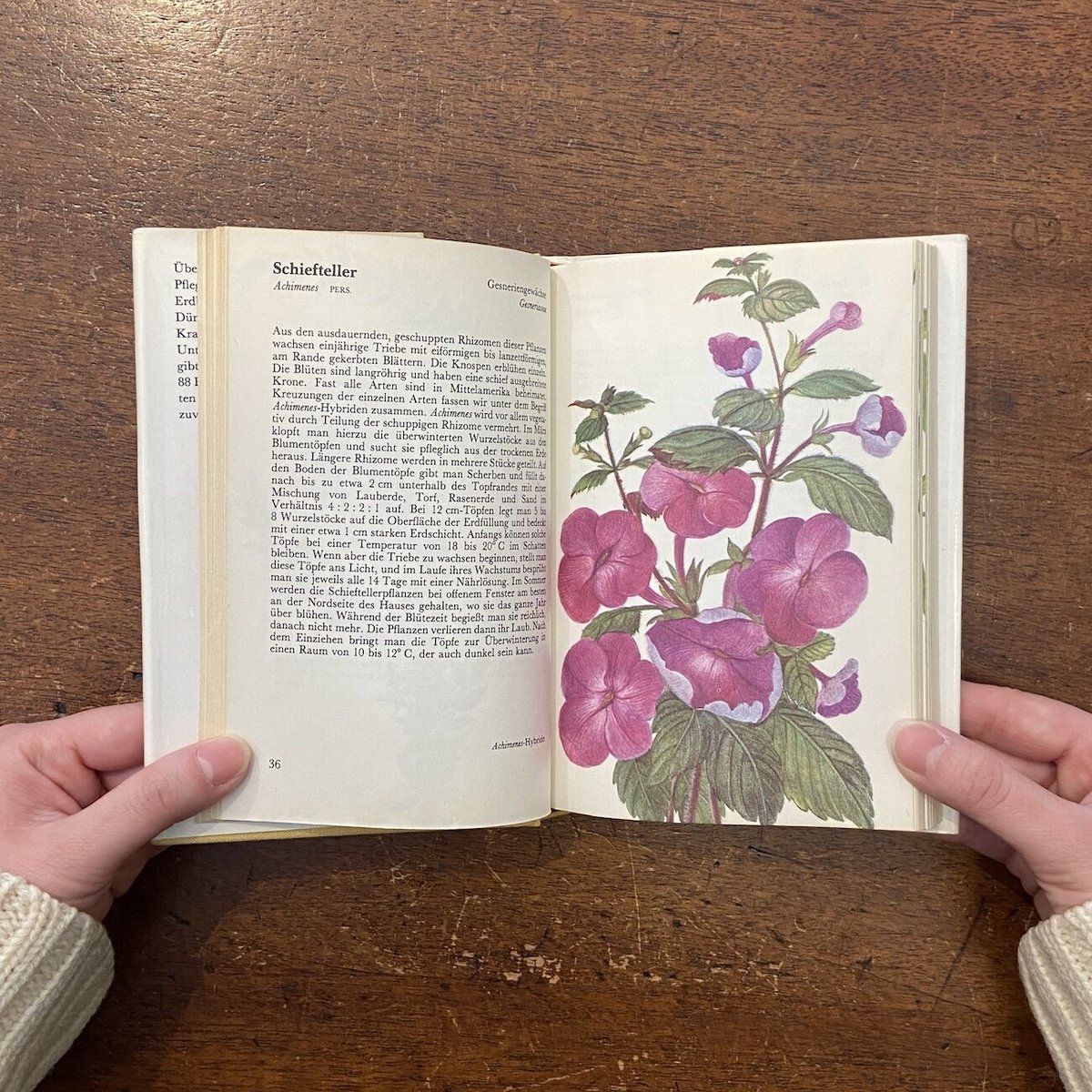 TASCHENATLAS DER ZIMMERPFLANZEN」Jaroslav Oplt