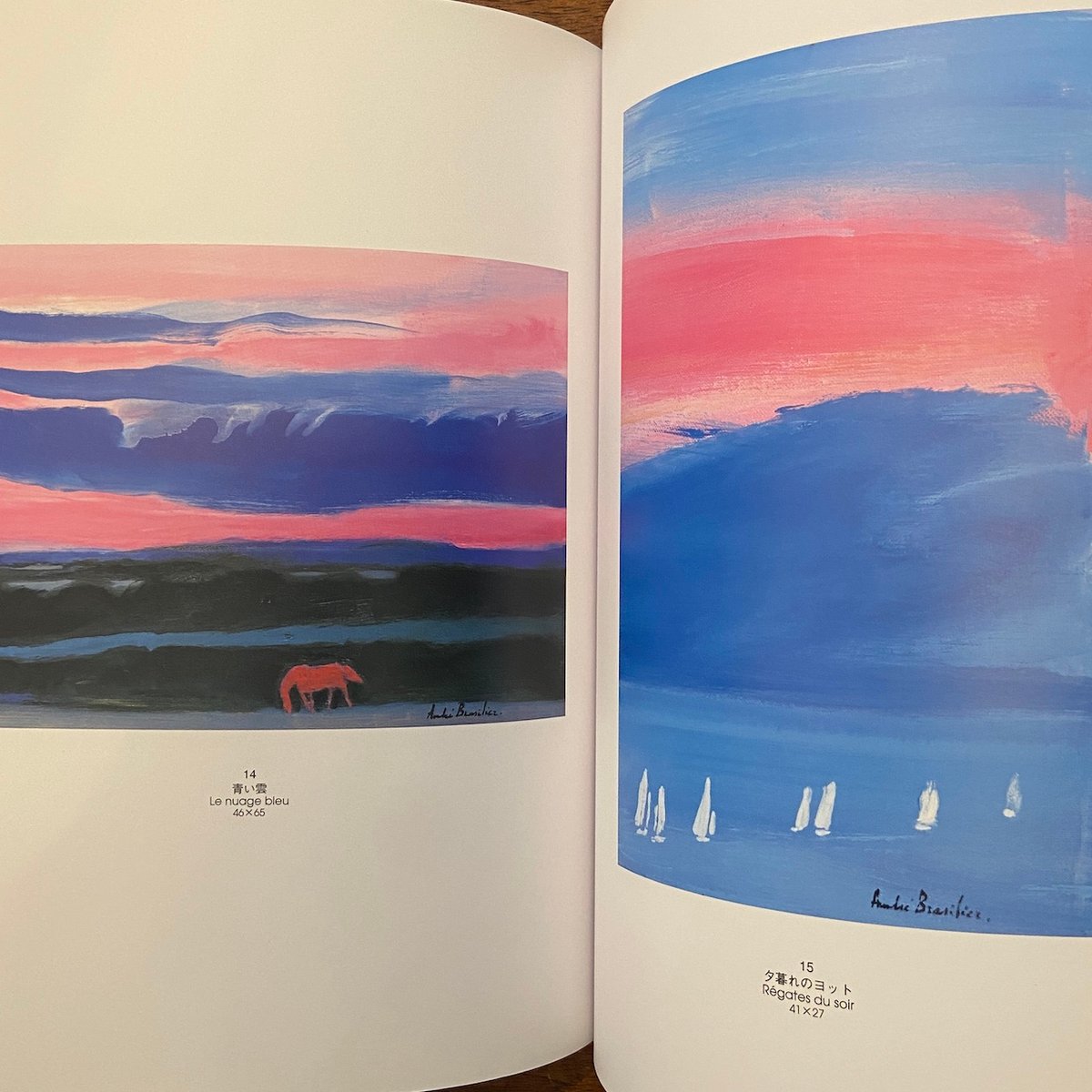 アンドレ・ブラジリエ新作展 図録」Andre Brasilier（アンドレ