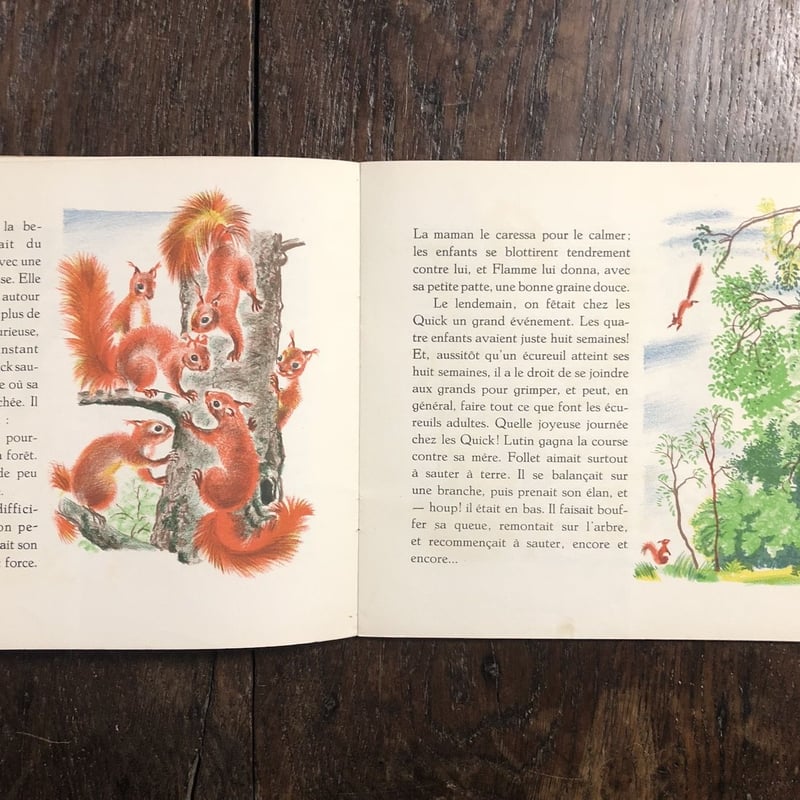 洋書リトグラフ挿絵本「POUDRE パウダー」1933 初版 ドミノプレス刊行 