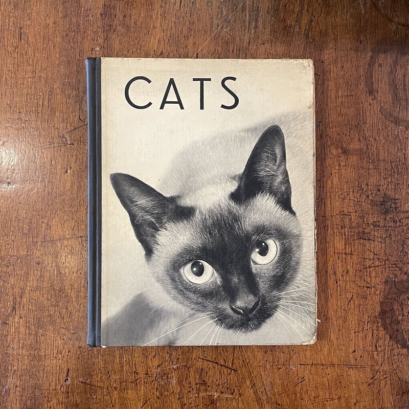 CATS HANNS REICH フォトグラファーによる猫の写真を集めた作品