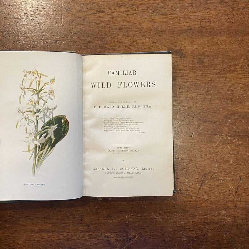 FAMILIAR WILD FLOWERS Ⅲ（1900年頃）」F. Edward Hulm