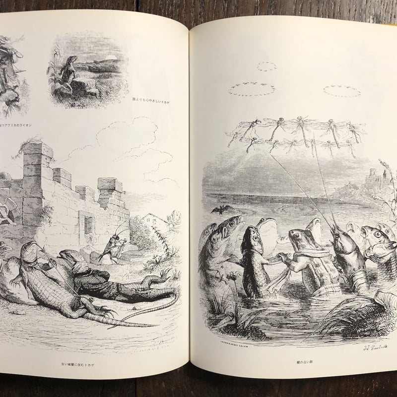 寓話 ３/アルケミア/谷口江里也（単行本） グランビル画集」谷口江里也 編著 | Frobergue online store