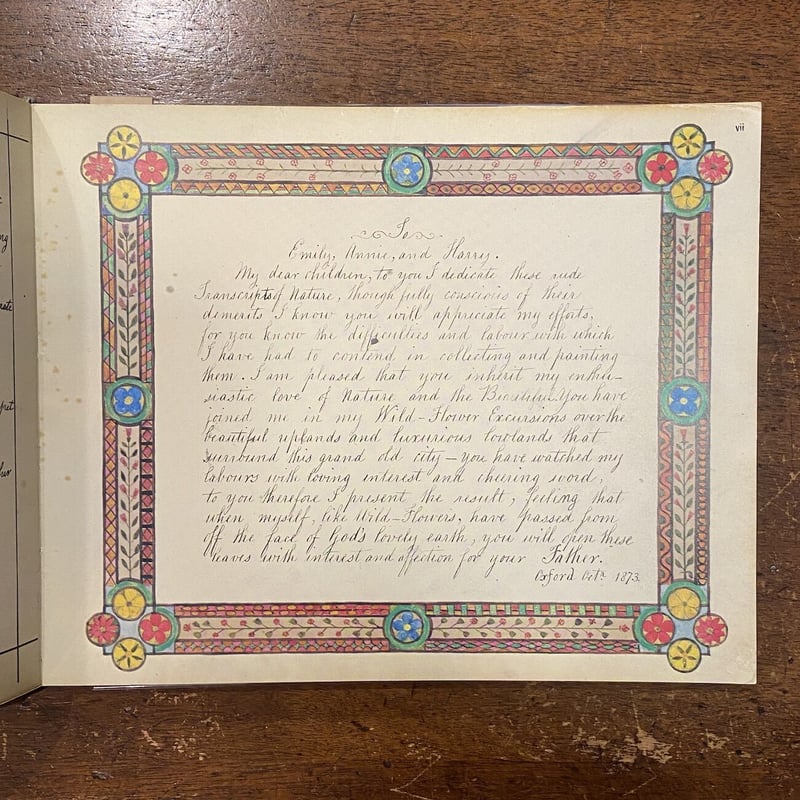 超希少 1876年 アンティーク WILD FLOWERS 手彩色 大型本 VICTORIAN FLOWER ALBUM」Henry Terry | Frobergue