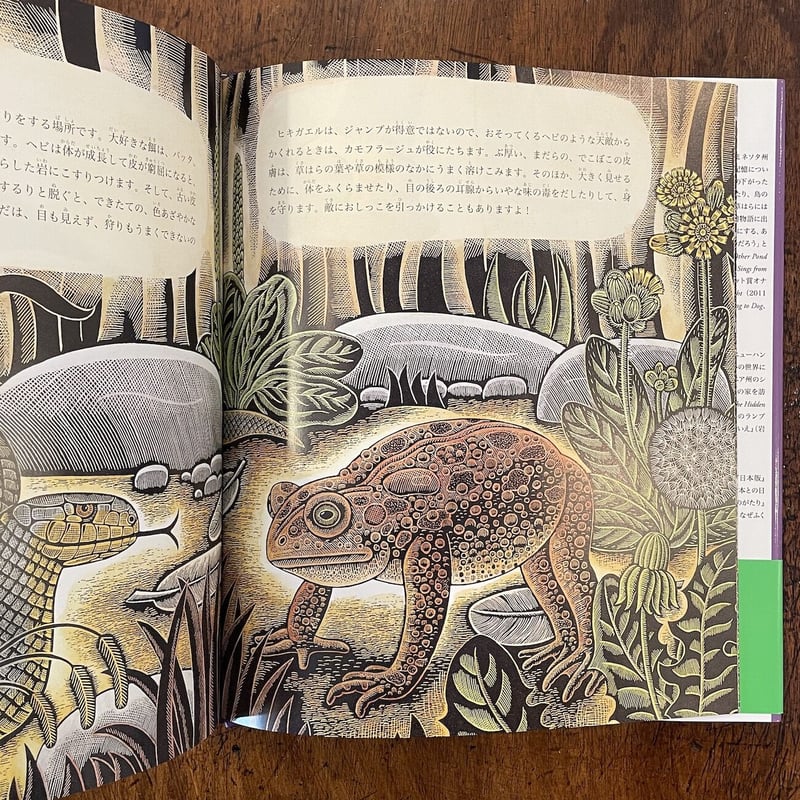 蝶の目と草はらの秘密」ジョイス・シドマン 文 ベス・クロムス 絵 百々