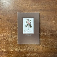 Leafing throuth Flowers」DANIEL OST | Frobergue