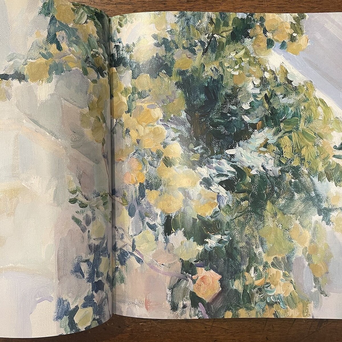 SOROLLA:Spanish Master of Light(ホアキン・ソローリャ作品集 SOROLLA:Spanish Master of Light(ホアキン・ソローリャ作品集