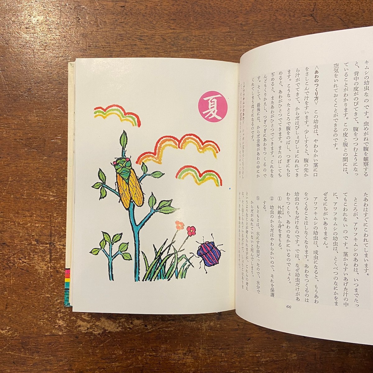 草と虫の四季」中山周平 杉田素行 | Frobergue online store